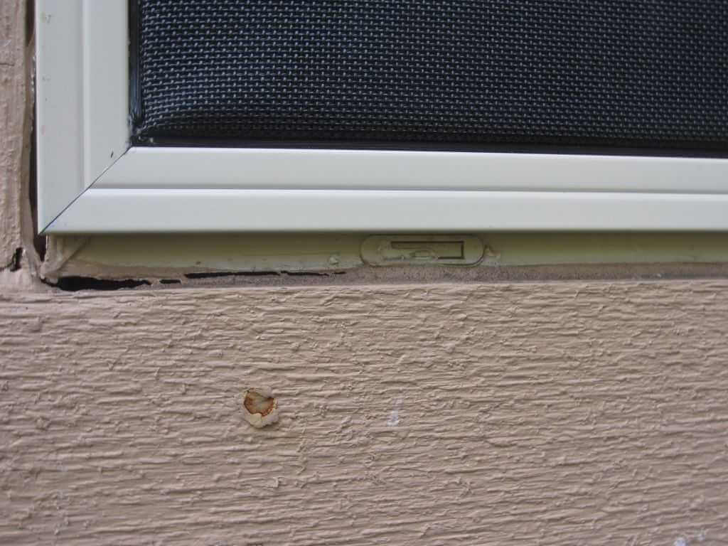 This installed screen avoided the weep holes of this window.